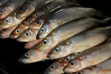 catch of river smelt. fishing as a hobby. there was a healthy meal