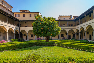 Fototapeta premium The bitter orange tree in the courtyard of a monastery in a sunny spring day in Tuscany