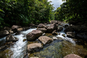 Dominica river