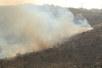 Air Tractor AT-802 Fire fighting Aircraft