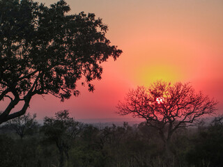 Fototapeta na wymiar Sunset in South Africa with a beautiful landscape.