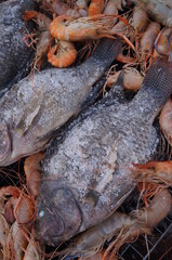 high angle view roof and sky