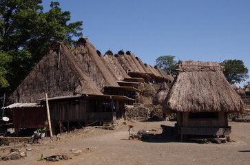 Fototapeta na wymiar A traditional village on Flores island in Indonesia