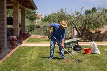 Picture of a gardener who aerates and collects dead grass from the lawn in his home garden