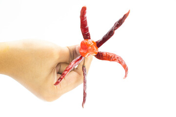 Spicy hot chili peppers or naga chili in a hand on white background,