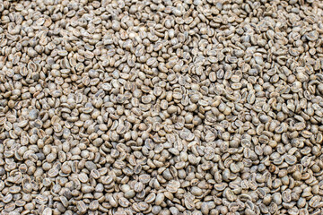 Photo of Dried coffee beans