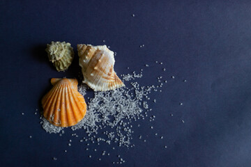 seashell and sea salt on purple background