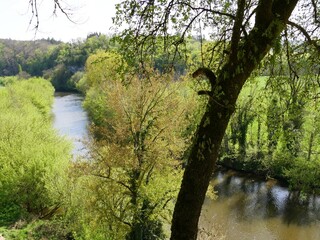 La rivière Vézère à Tursac en Dordogne dans le Périgord Noir. France