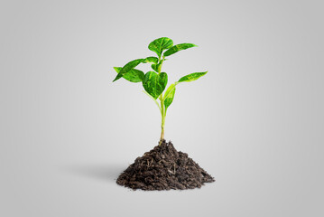 Artificial plant grows from natural soil. The leafs are made of electronic printed circuit boards. The concept of using technology in agriculture