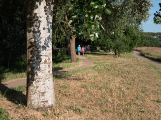 Persone passeggiano nel parco degli acquedotti, nel cuore di Roma