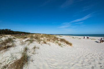 weiß-braune Strandkörbe am Strand in Prerow, Fischland-Darß