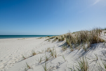 Dünen am Strand in Prerow, Fischland-Darss