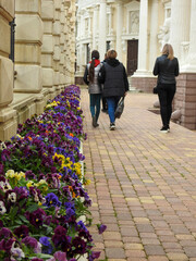 walking in the street