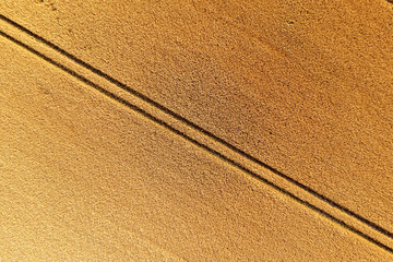 aerial top view of wheat field and tracks from tractor, agricultural texture, wheat farm from above © ako-photography