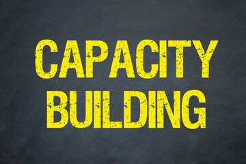 Capacity Building