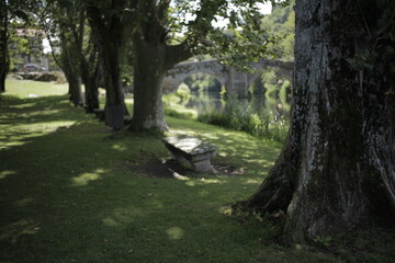 Banco bajo la sombra cerca del río