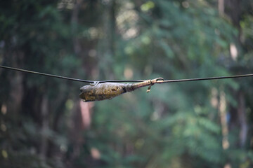 The cable divider of the internet line has been connected. Plastic bottles have been provided so that rain water cannot enter