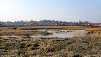 Fototapeta premium Low tide in the estuary of the Orne river. Normandy coast