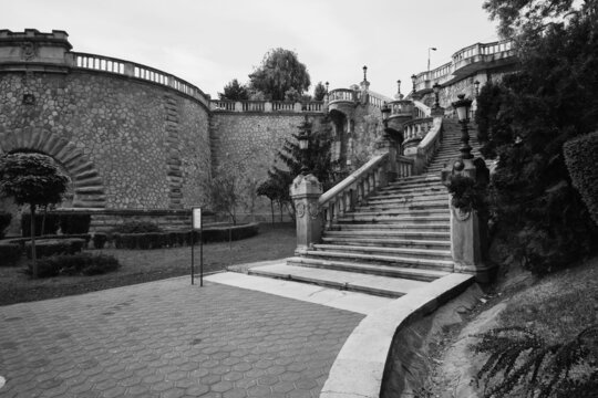 rapa galbena, iasi