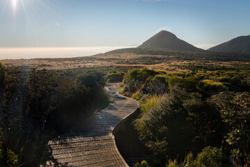 Winding boardwalk leading to Pouakai tarn, Pouakai crossing track, Egmont National Park.