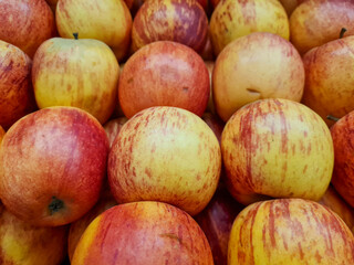 Red apple with clipping path and full depth of field