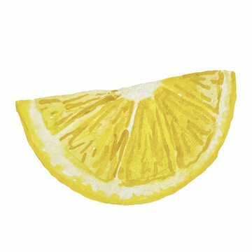 Watercolor hand drawn lemon slice isolated on white