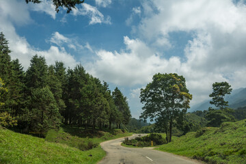 Fototapeta na wymiar Pampadum Shola , Kerala, India - April 28, 2022: Forest views on the way from Munnar to Vattavada