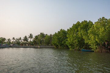 Canoe trip through Mangrove forest in Munroe Island