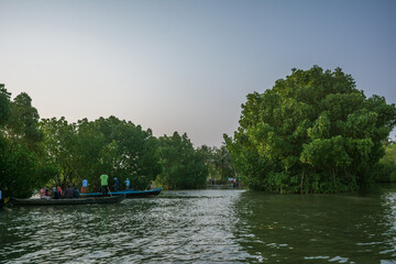 Canoe trip through Mangrove forest in Munroe Island