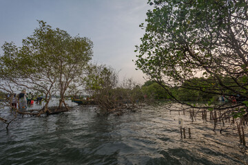 Sambranikodi is a picturesque village in the Ashtamudi backwaters situated close to the Arabian Sea