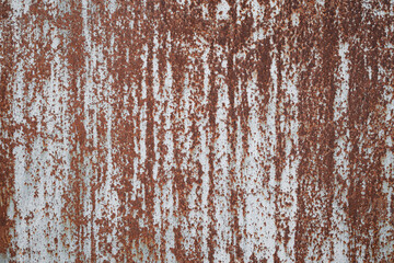 old sheet of iron covered with rust with white colored paint . Rusty metal surface texture