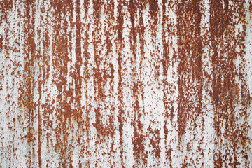 old sheet of iron covered with rust with white colored paint