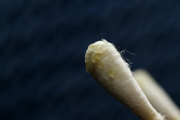 Macro texture of earwax or cerumen on cotton buds