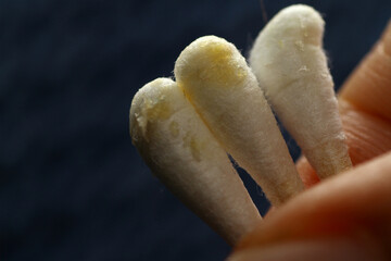 Macro texture of earwax or cerumen on cotton buds