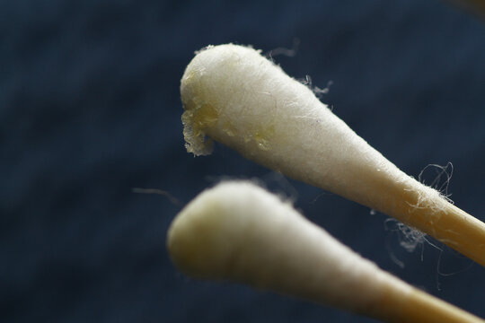 รูปภาพCerumen – เลือกดูภาพถ่ายสต็อก เวกเตอร์ และวิดีโอ7,817 | Adobe Stock