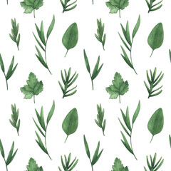 Botanical Seamless Pattern with Parsley, Basil, Willow, Lavender, Eucalyptus, Rosemary. Herbs and Spices on a white Background. Vintage Rural Style. 