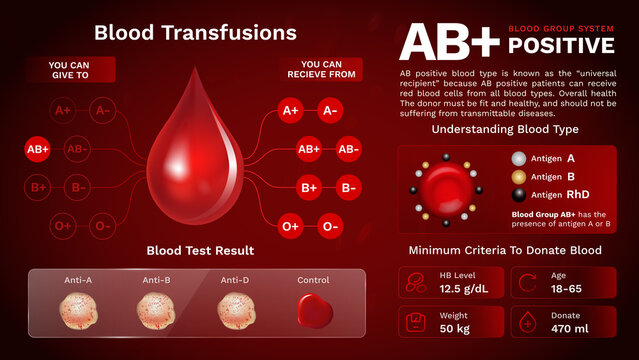 Blood Group O Positive Blood Types Stock Vector (Royalty Free) 1846733563