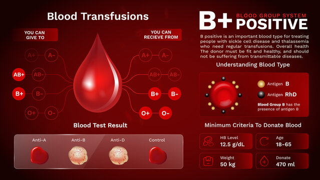 B Positive Blood group characteristics and Additional information vector image design