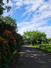 A shady street surrounded by cool trees