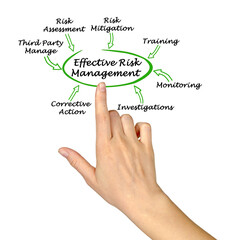Components of Effective Risk Management