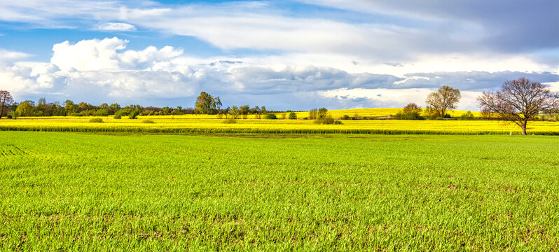 Weites Land