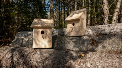 Authentic natural pine wood bird houses.