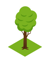 Street Tree Isometric Composition