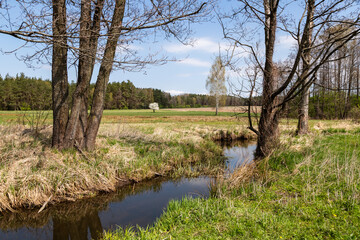 Fototapeta na wymiar Uroki wiosennego krajobrazu Doliny Górnej Narwi, Podlasie, Polska