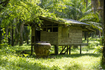 veille bicoque dans les bois dans le sud de la Thailande
dans un climat équatorial
