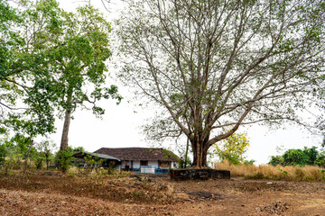 Fototapeta na wymiar The Naranathu Branthan Mala (hill) is located at Rayiranelloor in Palakkad district on the Valanchery.