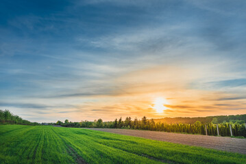 Fototapeta na wymiar Agriculture sunset over polish village