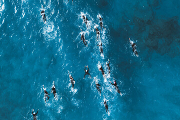 Triathlete swimmers during competition. Overhead view - obrazy, fototapety, plakaty