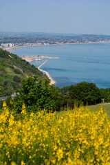 San Bartolo regional park Marche region