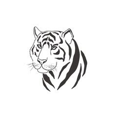 Tiger on white background. Vector .